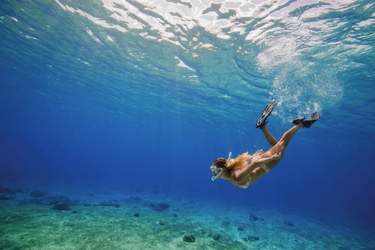 RCI Destinations Cozumel Excursions Scuba Diving River Jordan.jpg.jpg